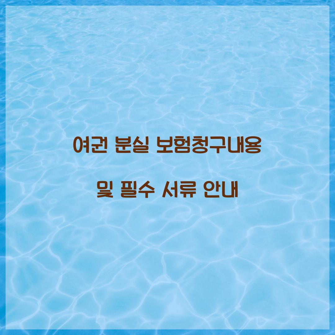 여권 분실 보험청구내용