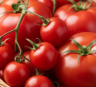 비문증 치료방법