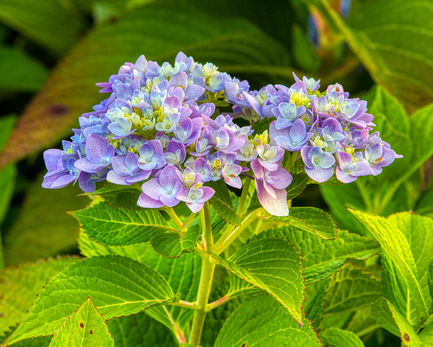 구리 한강공원- 24