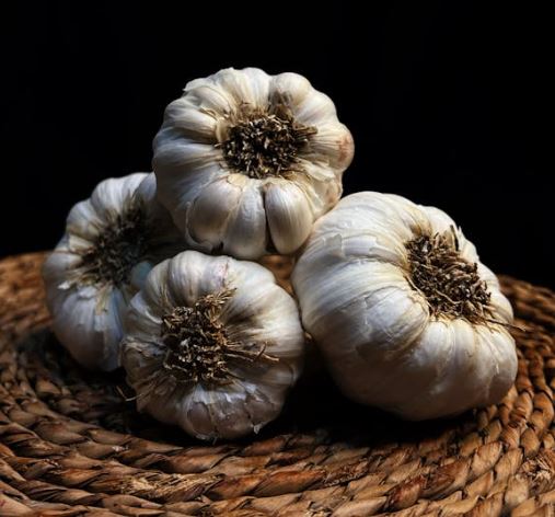 방광염에 좋은 음식 10가지