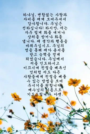 8월 셋째주일 대표기도문 모음 Best 3 안내_19