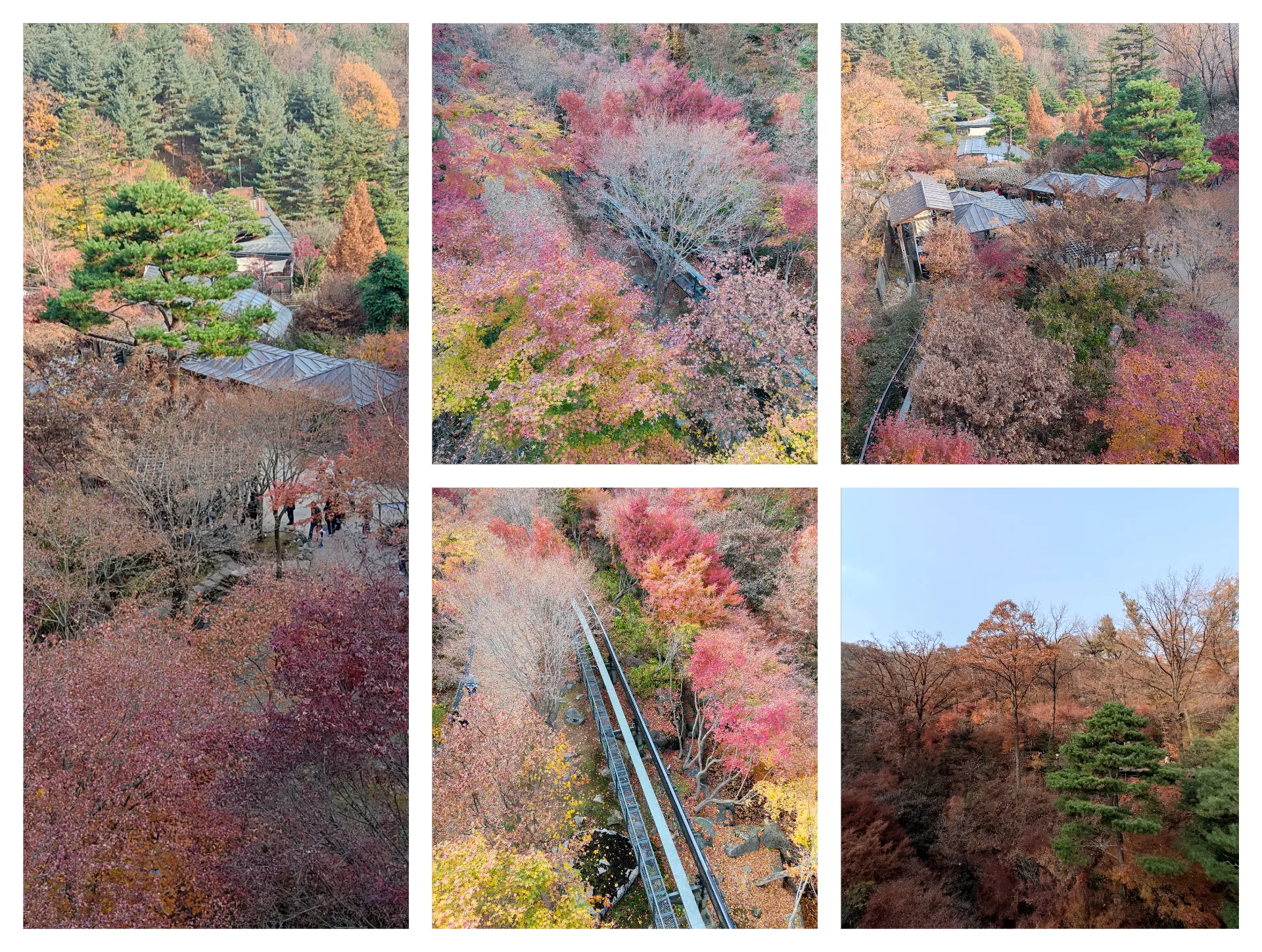 가을 화담숲