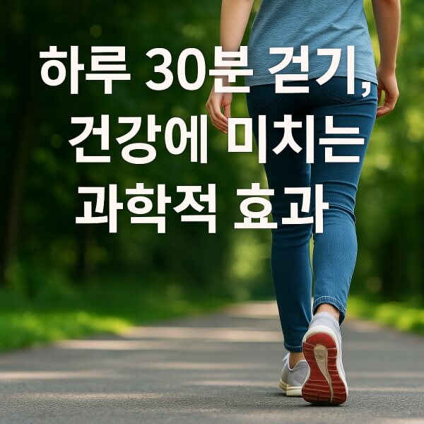 하루 30분 걷기,건강에 미치는 과학적 효과/gpt