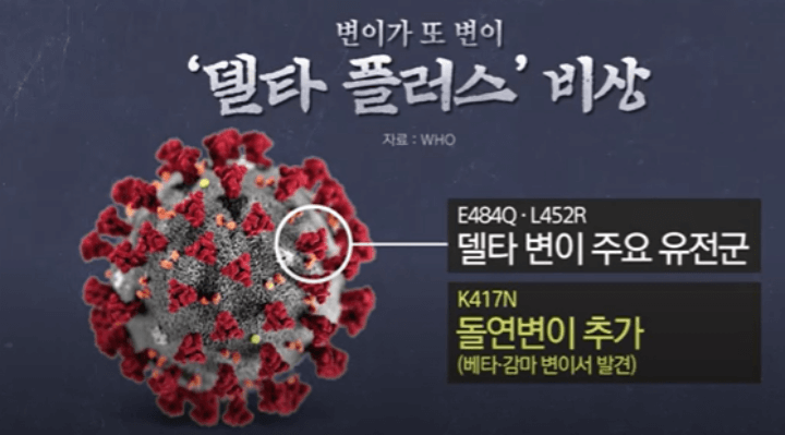 델타변이-바이러스-플러스-증상-전파력-치명률-안내