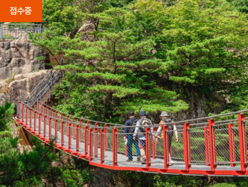완주 대둔산 축제