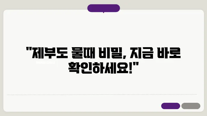 제부도 물때시간표