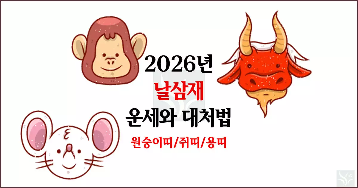 2026년 날삼재 운세와 대처법-원숭이, 쥐, 용띠