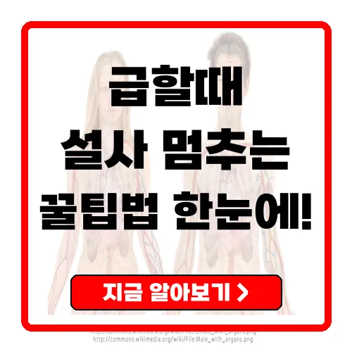 설사 멈추는 법