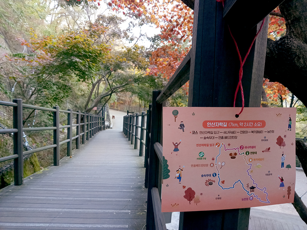 서대문구 안산자락길 나혼자걷기 챌린지