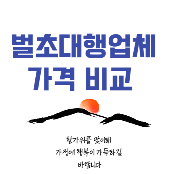 벌초대행 가격비교