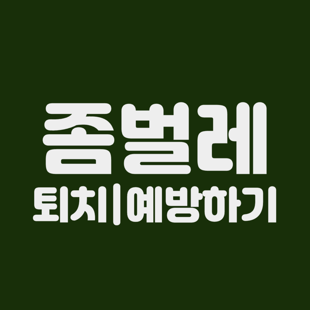 좀벌레 퇴치 예방하기