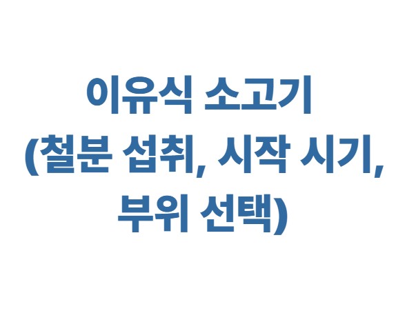 이유식 소고기