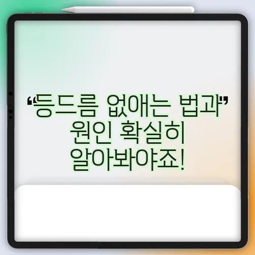 등드름 없애는 법과 원인 확실히 알아봐야죠!