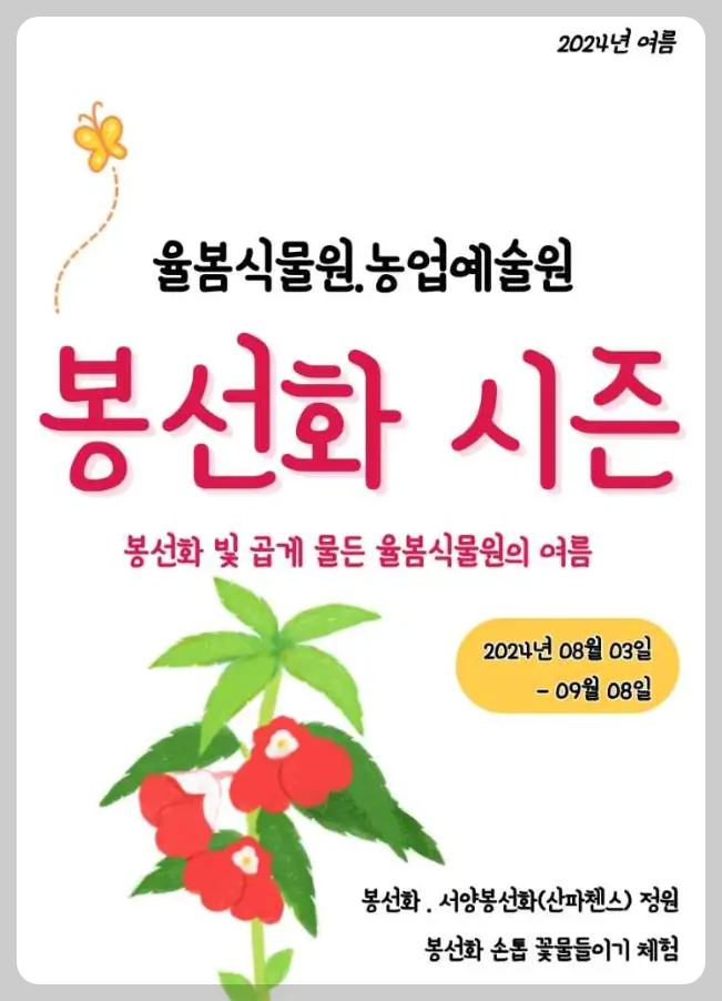 광주시 봉선화 시즌 축제