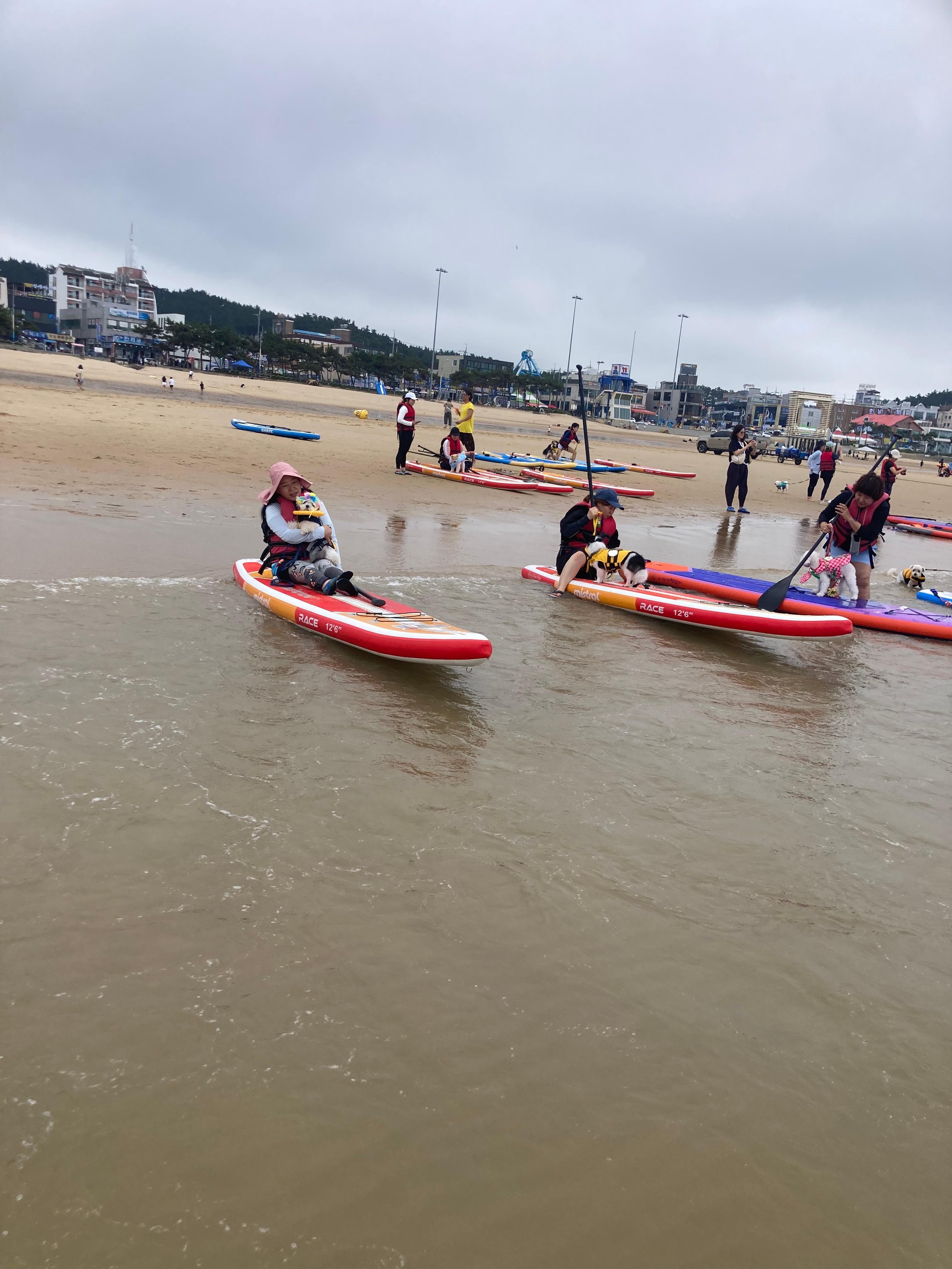 태안 패들보드 체험중