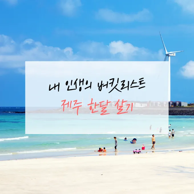 제주도 한 달 살기 아기와 함께하는 특별한 여행 준비 팁_4