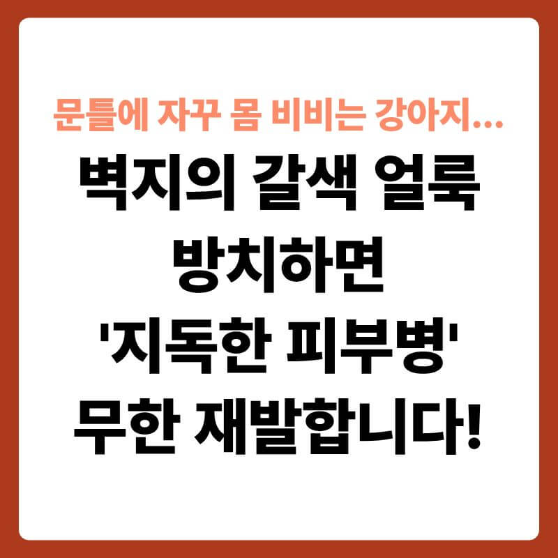하얀 방 문틀 모서리에 뺨과 옆구리를 쓸어내리며 지나가고 있는 강아지의 모습 옆으로, 벽면 마감재 표면 내부가 투명한 3D 과학 그래픽으로 확대된 단면