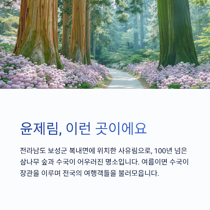 보성 윤제림이란?