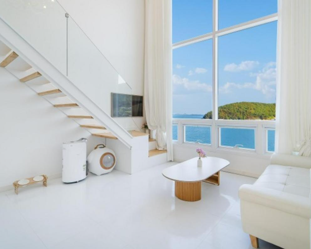 여수 애견동반 풀빌라 펜션