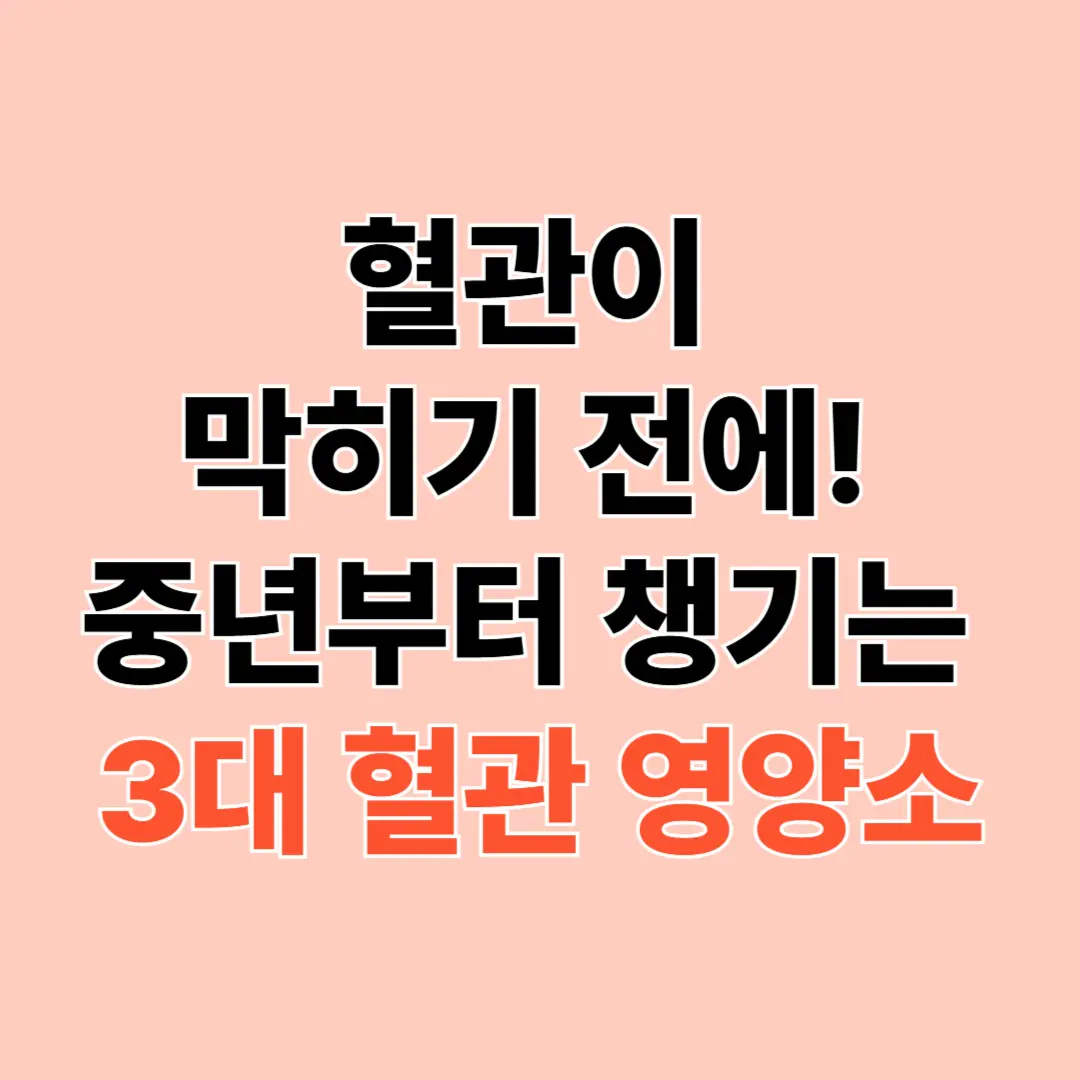 혈관 건강 영양제, 중장년층을 위한 필수 성분은?