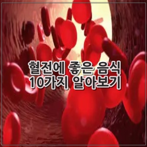혈전에 좋은 음식 10가지 알아보기