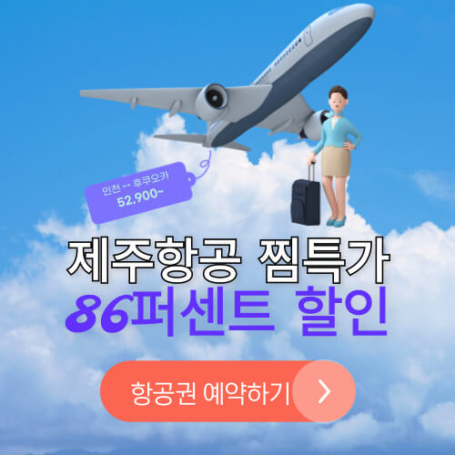 제주항공 찜특가 86퍼센트 할인받기