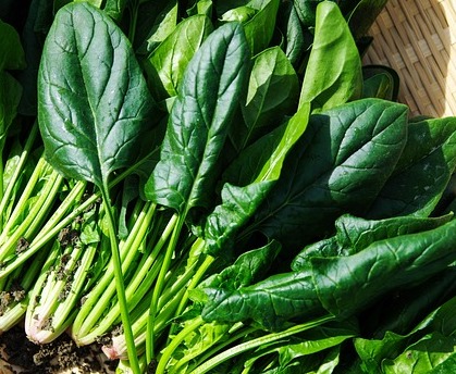 고혈압 낮추는 방법 고혈압증상