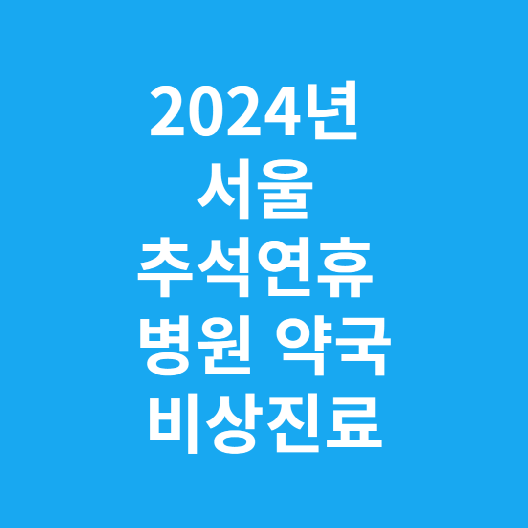 2024년 서울 추석연휴 병원 약국 비상진료 알아보기