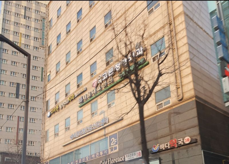 금천구 시흥5동 정형외과 유명하고 잘하는 곳 추천 TOP 5