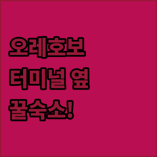 모스크바 오레호보 터미널 주변 숙소 ..