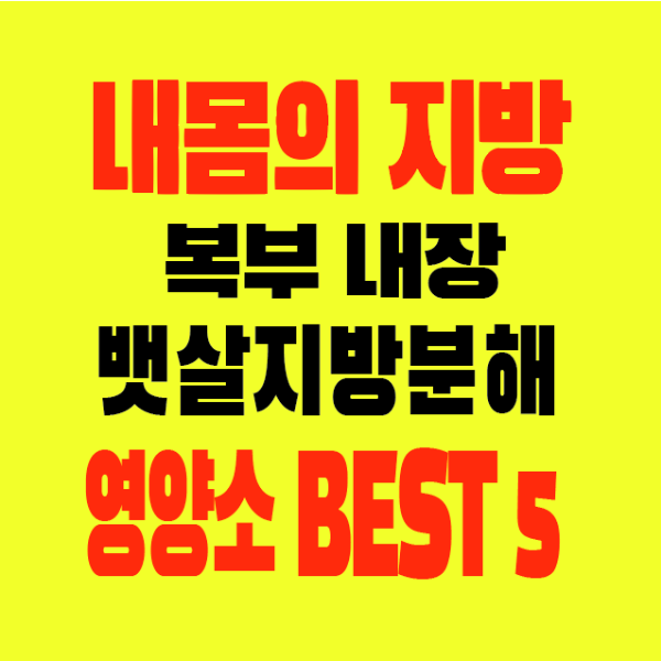 썸네일-냄몸의지방-복부내장지방-뱃살-태우는영양소-BEST5