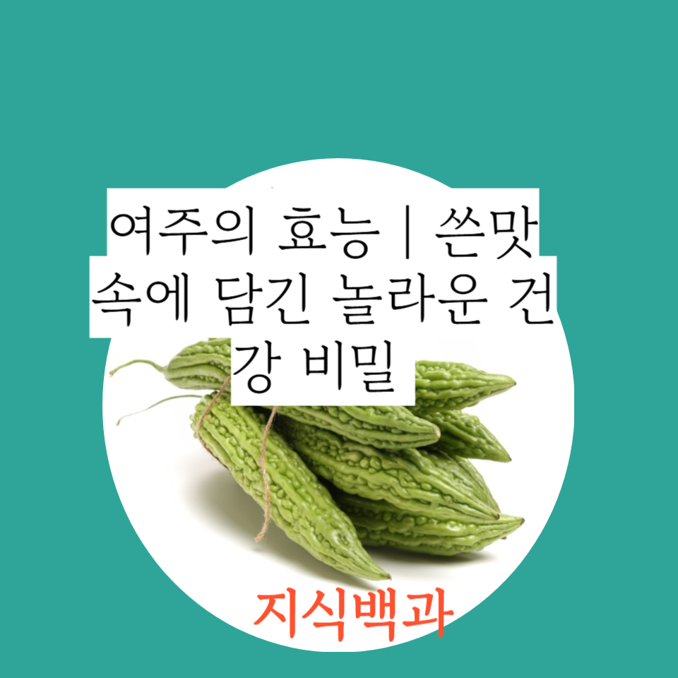 여주의 효능|쓴맛 속에 담긴 놀라운 건강 비밀 🍃