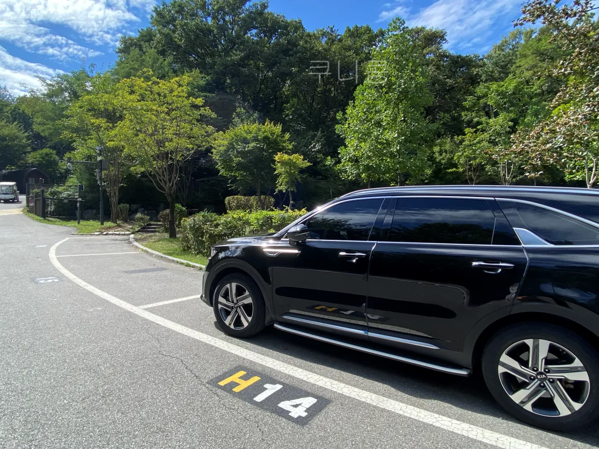 서울근교-당일캠핑-피크닉-가능한-초안산캠핑장-사이트-총정리(주차,통로위치-등)