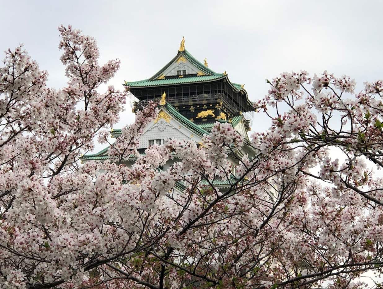 오사카 자유여행 추천 : 오사카 여행 추천 코스