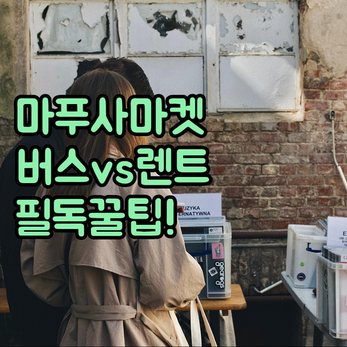 인도 북부 고아 마푸사 마켓 가는법 ..