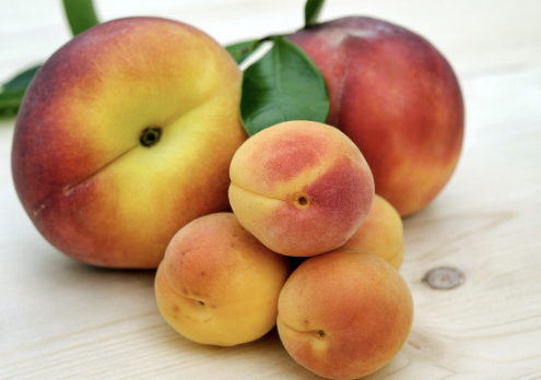 복숭아 보관방법 4