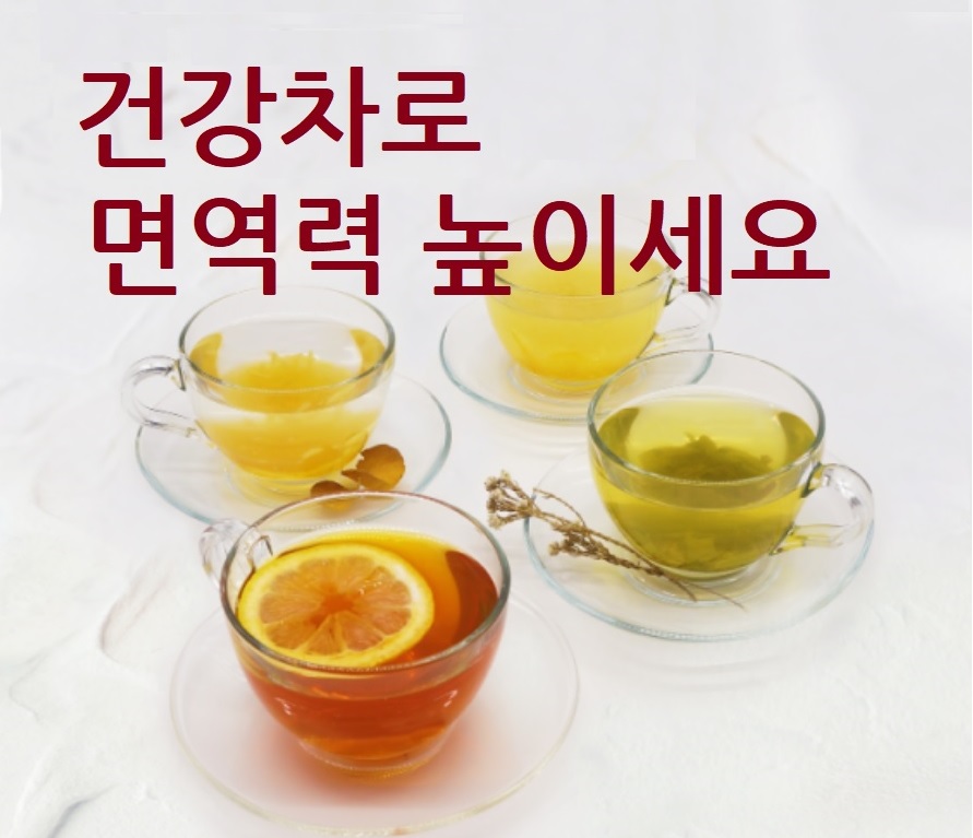 면역력-강화에-좋은-차