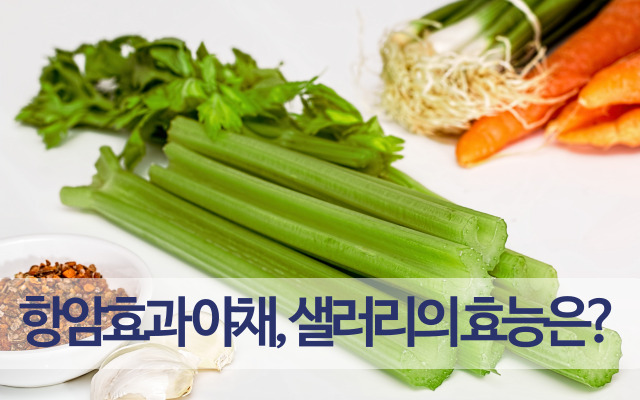 샐러리의 효능