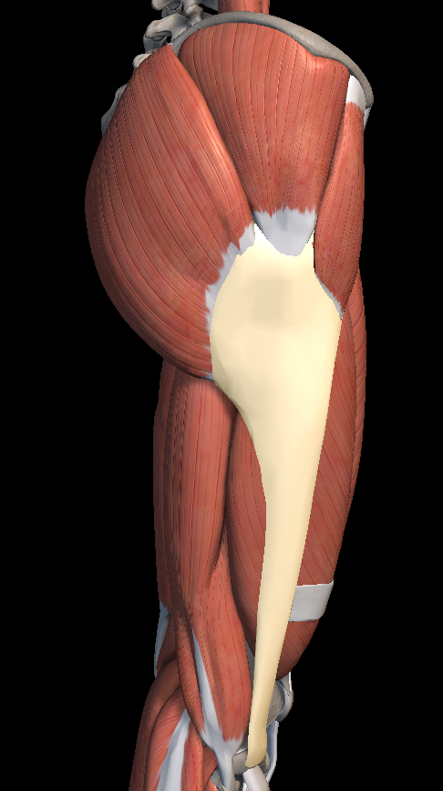 허벅지 통증 원인 증상 치료법