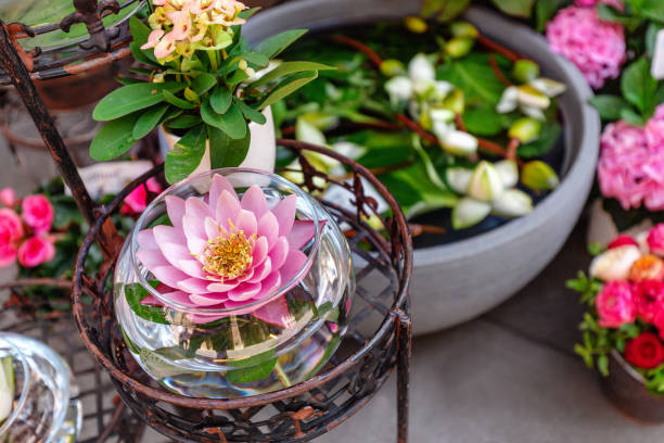 한국 전통 주거 양식, 정원