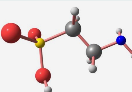타우린 효능 총정리