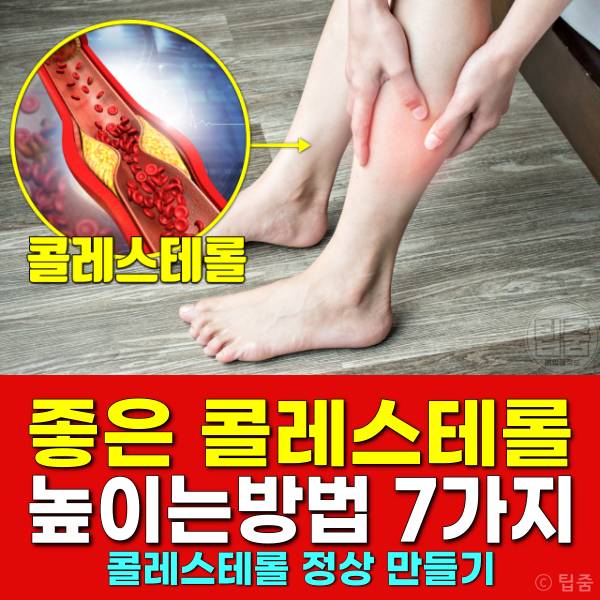 좋은 콜레스테롤 높이는 방법 콜레스테롤 정상 만들기