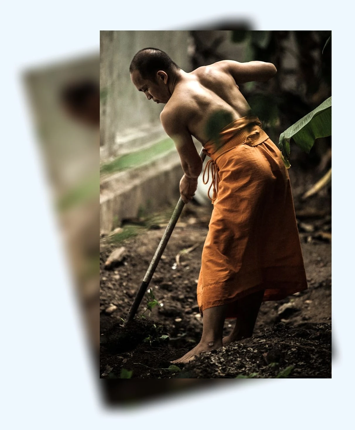 공인노무사 전망_2_subsection