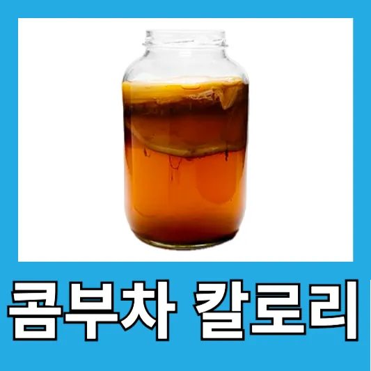 콤부차 칼로리 카페인