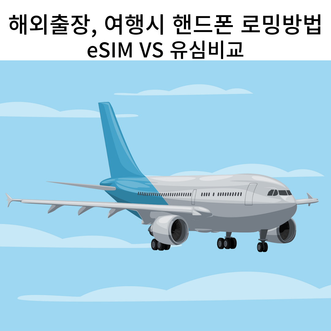 핸드폰 로밍방법 이심 유심비교