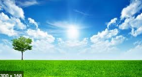 음력 24절기, 경칩 뜻과 의미, 유래 이미지