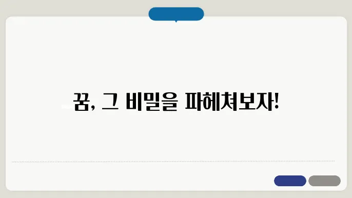 꿈의 종류