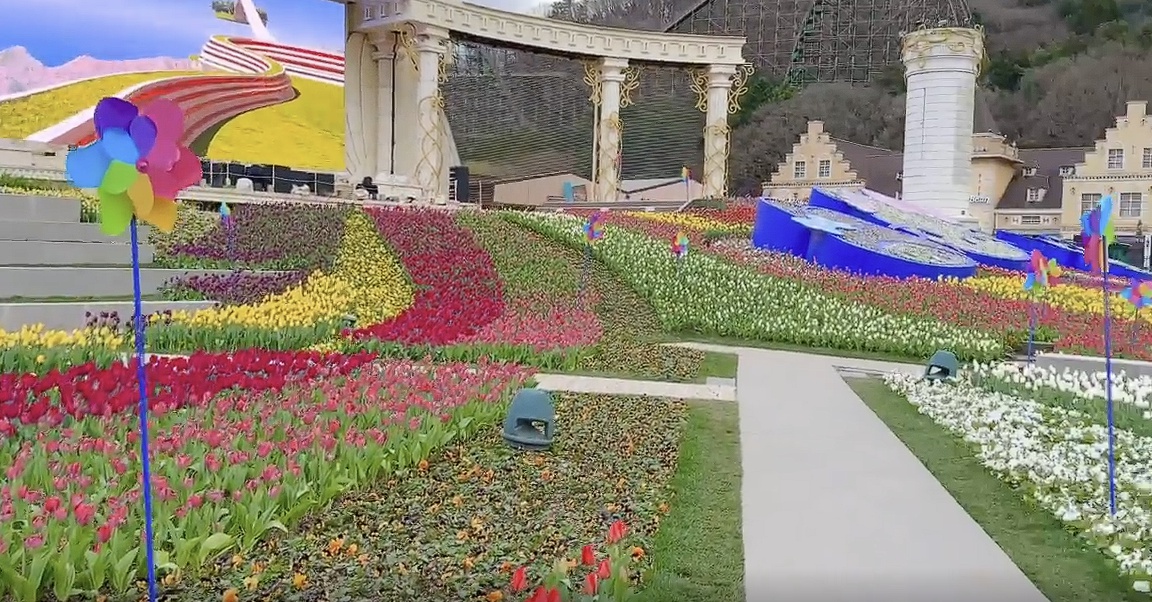 에버랜드 튤립축제