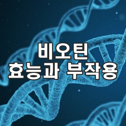 비오틴