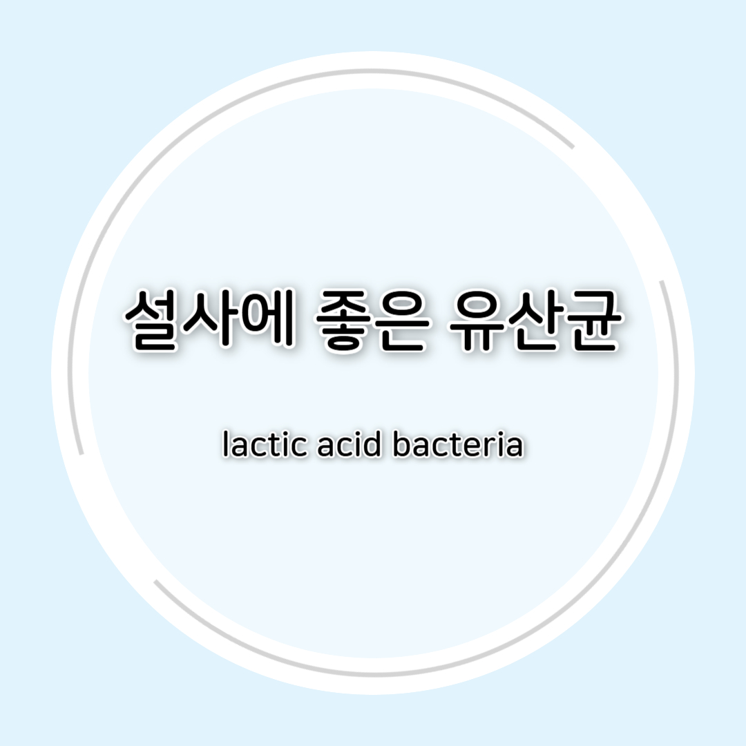 설사에 좋은 유산균 총정리